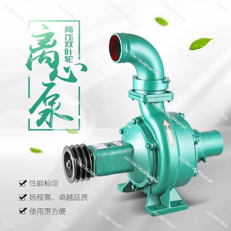 Bomba centrífuga de doble impu - Diesel Water Pump reseña y precio