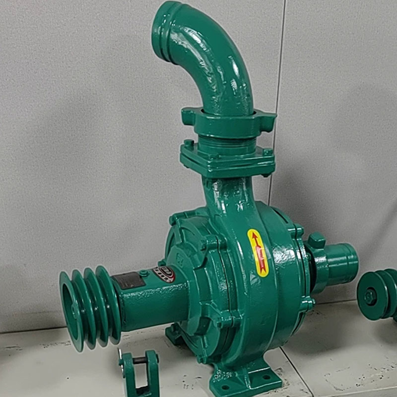 Bomba de Agua Centrífuga de Do - Diesel Water Pump reseña y precio