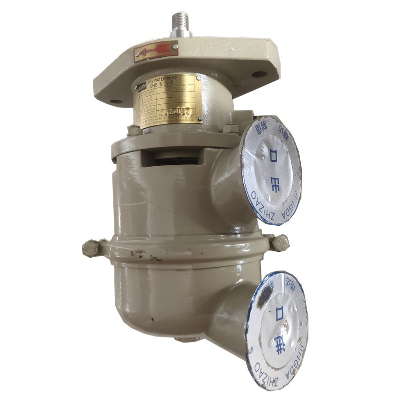 Bomba de agua de mar de repues - Diesel Water Pump reseña y precio