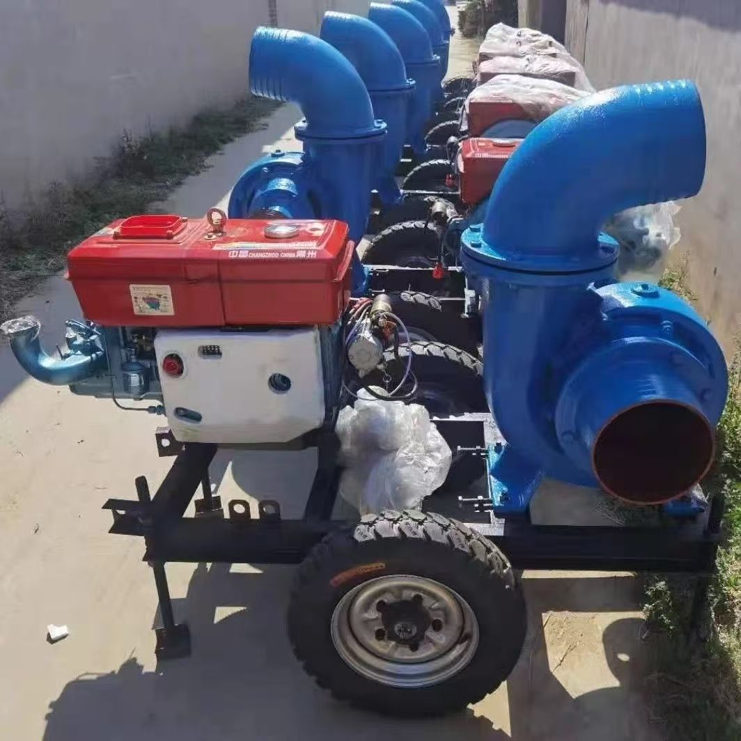Bomba de agua de motor diésel  - Diesel Water Pump reseña y precio